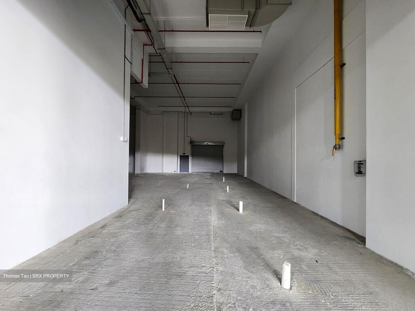Ct Foodnex (D25), Factory #526398561